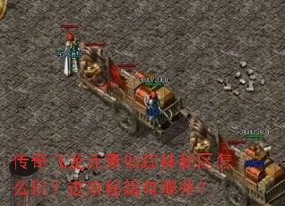 传奇飞龙元素仙踪林新区怎么玩?进阶秘籍有哪些? 传奇飞龙元素仙踪林新区怎么玩?进阶秘籍有哪些?