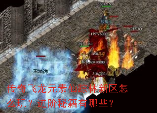 传奇飞龙元素仙踪林新区怎么玩?进阶秘籍有哪些? 传奇飞龙元素仙踪林新区怎么玩?进阶秘籍有哪些?