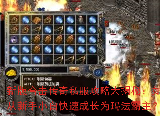 新版合击传奇私服攻略大揭秘:如何从新手小白快速成长为玛法霸主? 新版合击传奇私服攻略大揭秘:如何从新手小白快速成长为玛法霸主?