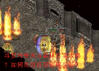 ���޴����춷ɭ�ִ򱦹��ԣ���θ�Ч��ȡ��ϡװ����