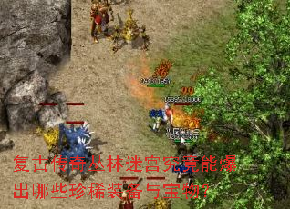 ���Ŵ�������Թ������ܱ�����Щ��ϡװ���뱦�