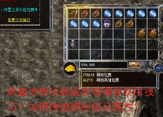 热血传奇项链鉴定有哪些实用技巧?如何快速辨别极品属性? 热血传奇项链鉴定有哪些实用技巧?如何快速辨别极品属性?