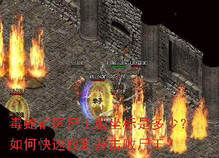 毒蛇矿区尸王殿坐标是多少?如何快速找到并击败尸王? 毒蛇矿区尸王殿坐标是多少?如何快速找到并击败尸王?