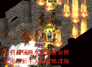 白日门强身术第一重如何使用?新手入门攻略详解 白日门强身术第一重如何使用?新手入门攻略详解