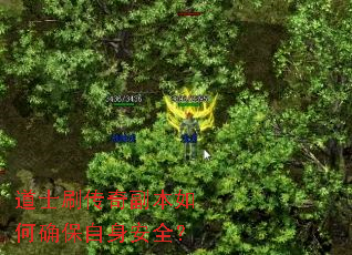 道士刷传奇副本如何确保自身安全? 道士刷传奇副本如何确保自身安全?