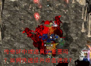 ����SF�й��������Ҫ����ο������������ٶȣ�