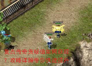 ���Ŵ��湱��ֵ��λ�ȡ�������������������