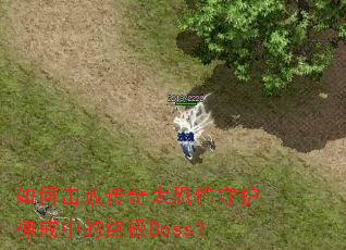 ��λ��ܴ���̫�ֲ��ػ�����е��ռ�Boss��