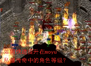 ��ο���������moyu˽�������еĽ�ɫ�ȼ���
