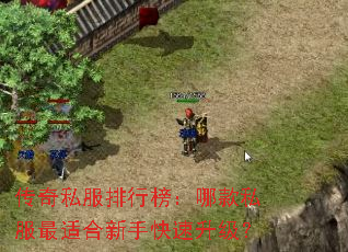 传奇私服排行榜:哪款私服最适合新手快速升级? 传奇私服排行榜:哪款私服最适合新手快速升级?