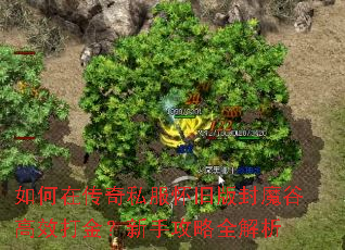 如何在传奇私服怀旧版封魔谷高效打金?新手攻略全解析 如何在传奇私服怀旧版封魔谷高效打金?新手攻略全解析