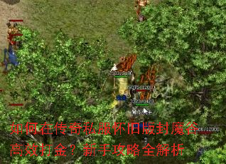 如何在传奇私服怀旧版封魔谷高效打金?新手攻略全解析 如何在传奇私服怀旧版封魔谷高效打金?新手攻略全解析