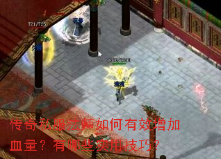 传奇私服法师如何有效增加血量?有哪些实用技巧? 传奇私服法师如何有效增加血量?有哪些实用技巧?