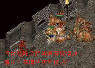 传奇私服法师如何有效增加血量?有哪些实用技巧? 传奇私服法师如何有效增加血量?有哪些实用技巧?