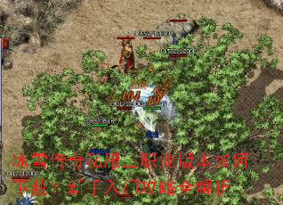 ��ѩ����˽����ְҵ�汾������أ��������Ź���ȫ����