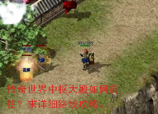 传奇世界中枢大殿如何前往?求详细路线攻略。 传奇世界中枢大殿如何前往?求详细路线攻略。
