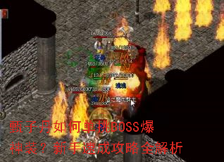 ���ӵ���ε���BOSS����װ�������ٳɹ���ȫ����
