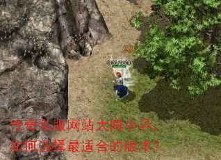 ����˽����վ��ͬС�죬���ѡ�����ʺϵİ汾��