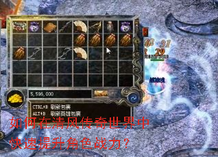 �������紫�������п���������ɫս����