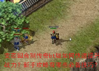 变态回合制传奇bt版如何快速提升战力?新手攻略有哪些必备技巧? 变态回合制传奇bt版如何快速提升战力?新手攻略有哪些必备技巧?