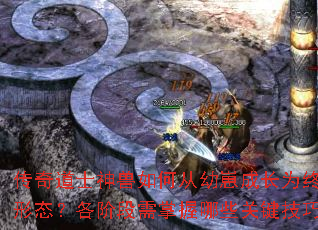 �����ʿ������δ����̳ɳ�Ϊ�ռ���̬�����׶���������Щ�ؼ����ɣ�