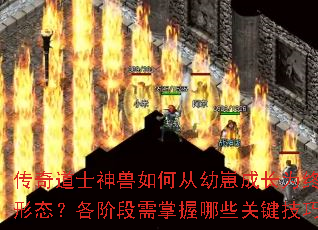�����ʿ������δ����̳ɳ�Ϊ�ռ���̬�����׶���������Щ�ؼ����ɣ�