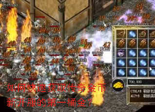 如何快速获取传奇金币新开服的第一桶金? 如何快速获取传奇金币新开服的第一桶金?