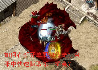如何在新开单职业传奇打金服中快速赚取第一桶金? 如何在新开单职业传奇打金服中快速赚取第一桶金?