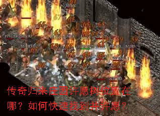 传奇归来庄园许愿树位置在哪?如何快速找到并许愿? 传奇归来庄园许愿树位置在哪?如何快速找到并许愿?