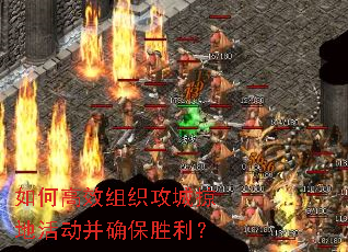 ��θ�Ч��֯�����ӵػ��ȷ��ʤ����