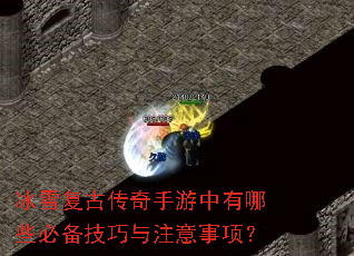 ��ѩ���Ŵ�������������Щ�ر�������ע�����