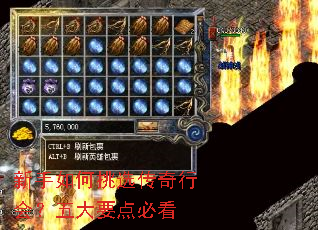 新手如何挑选传奇行会?五大要点必看 新手如何挑选传奇行会?五大要点必看
