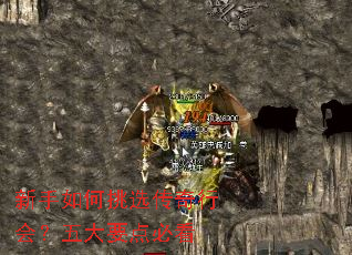 新手如何挑选传奇行会?五大要点必看 新手如何挑选传奇行会?五大要点必看