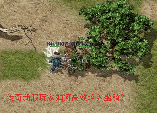 传奇新服玩家如何高效培养坐骑? 传奇新服玩家如何高效培养坐骑?
