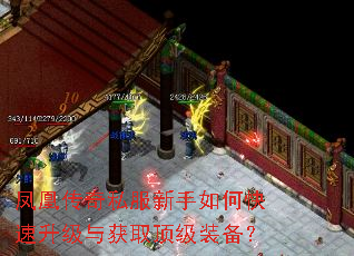 凤凰传奇私服新手如何快速升级与获取顶级装备? 凤凰传奇私服新手如何快速升级与获取顶级装备?