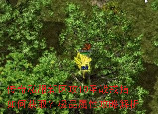 传奇私服新区攻10圣战戒指如何获取?极品属性攻略解析 传奇私服新区攻10圣战戒指如何获取?极品属性攻略解析