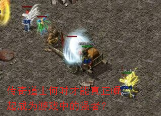 传奇道士何时才能真正崛起成为游戏中的强者? 传奇道士何时才能真正崛起成为游戏中的强者?