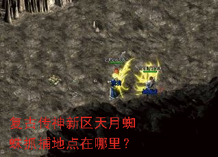 复古传神新区天月蜘蛛抓捕地点在哪里? 复古传神新区天月蜘蛛抓捕地点在哪里?