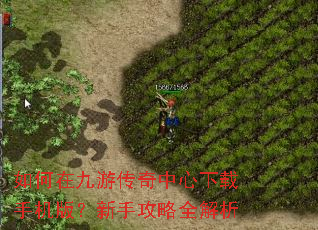 ����ھ��δ������������ֻ��棿���ֹ���ȫ����