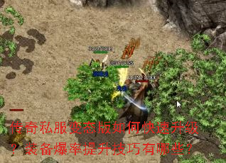 传奇私服变态版如何快速升级?装备爆率提升技巧有哪些? 传奇私服变态版如何快速升级?装备爆率提升技巧有哪些?