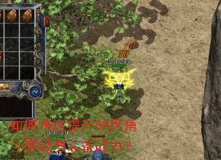 如何快速提升00区角色等级与装备战力? 如何快速提升00区角色等级与装备战力?