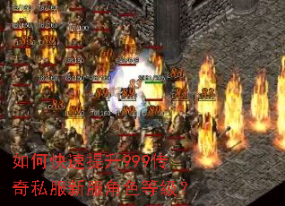 如何快速提升999传奇私服新服角色等级? 如何快速提升999传奇私服新服角色等级?