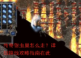 传奇钳虫巢怎么走?详细路线攻略指南在此 传奇钳虫巢怎么走?详细路线攻略指南在此