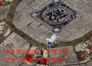 传奇游戏攻略:为何养成日常任务习惯至关重要? 传奇游戏攻略:为何养成日常任务习惯至关重要?