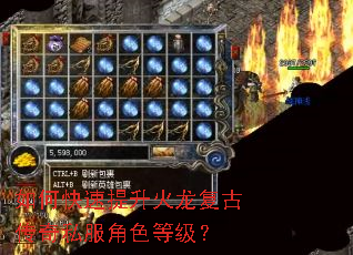 如何快速提升火龙复古传奇私服角色等级? 如何快速提升火龙复古传奇私服角色等级?