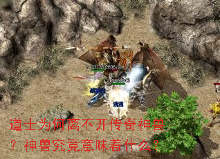 道士为何离不开传奇神兽?神兽究竟意味着什么? 道士为何离不开传奇神兽?神兽究竟意味着什么?