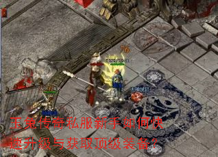 玉兔传奇私服新手如何快速升级与获取顶级装备? 玉兔传奇私服新手如何快速升级与获取顶级装备?