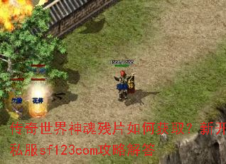 传奇世界神魂残片如何获取?新开私服sf123com攻略解答 传奇世界神魂残片如何获取?新开私服sf123com攻略解答