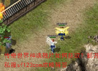 传奇世界神魂残片如何获取?新开私服sf123com攻略解答 传奇世界神魂残片如何获取?新开私服sf123com攻略解答