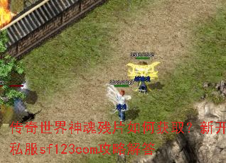 传奇世界神魂残片如何获取?新开私服sf123com攻略解答 传奇世界神魂残片如何获取?新开私服sf123com攻略解答